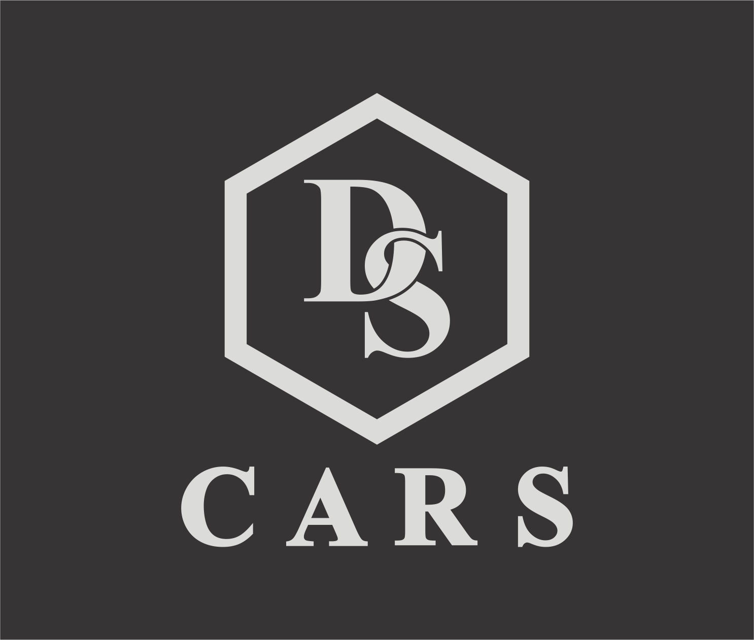 logo D&S cars