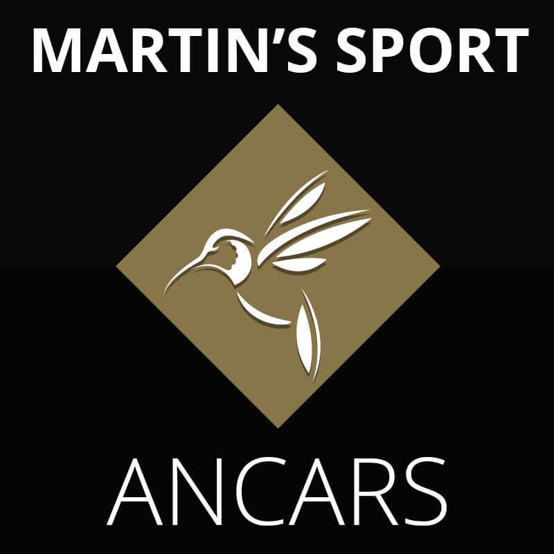 logo Martin's Sport
